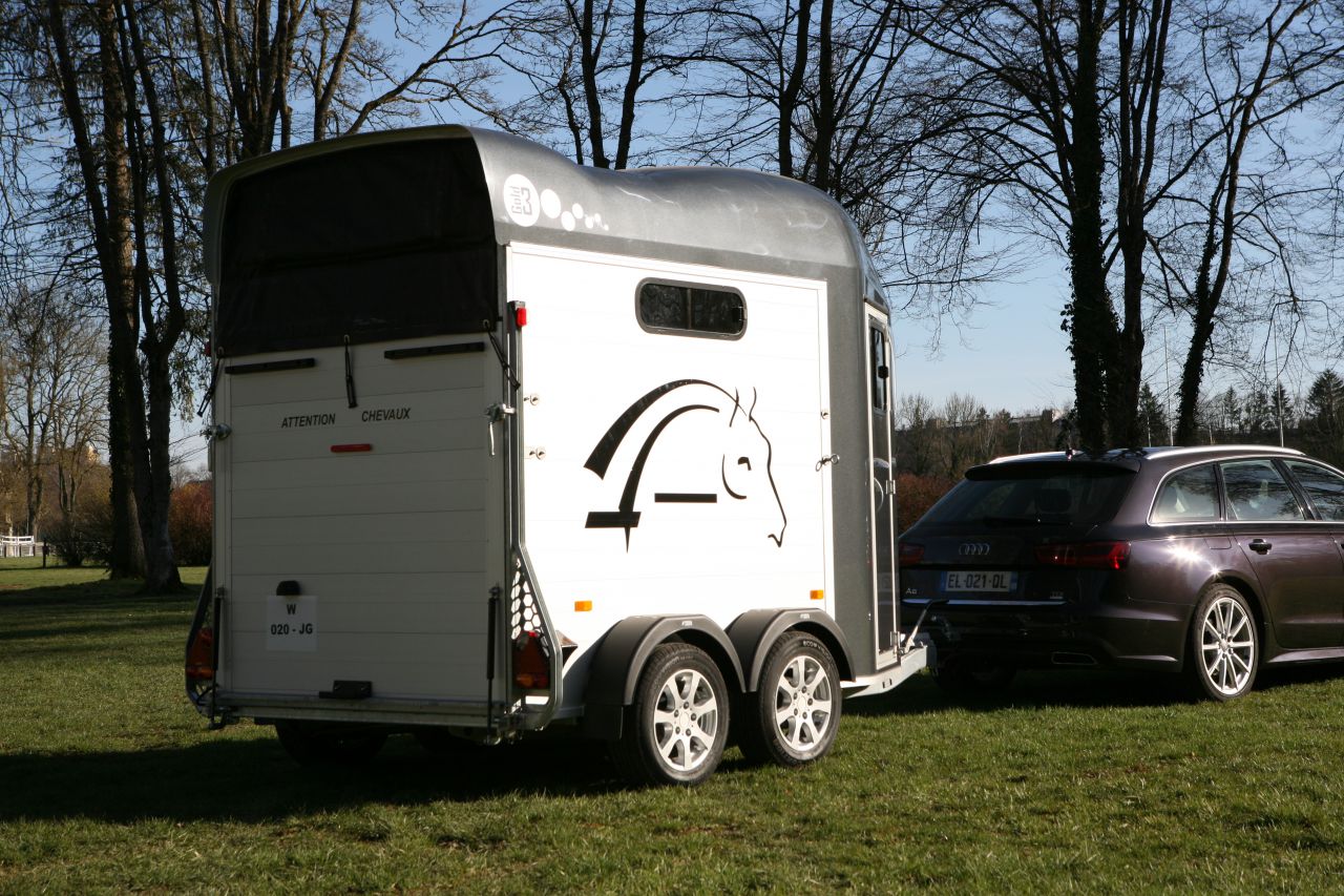 VAN CHEVAL LIBERTE GOLD 3