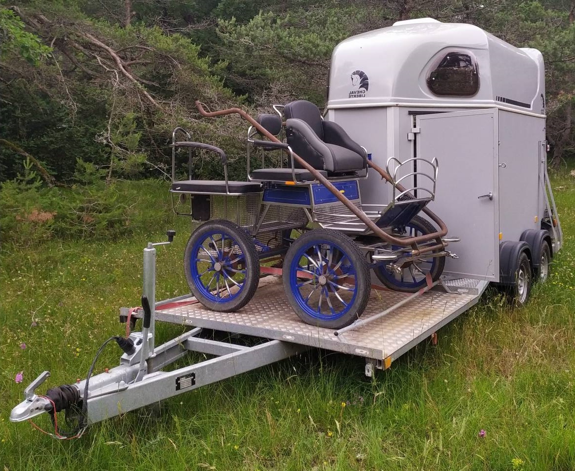 Van 2 P - Porte-calèche cheval liberte
